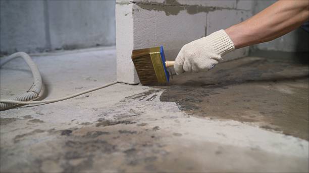 SJ Waterproofing Pros Waterproofing coverage map for Brownsville, KY and surrounding area